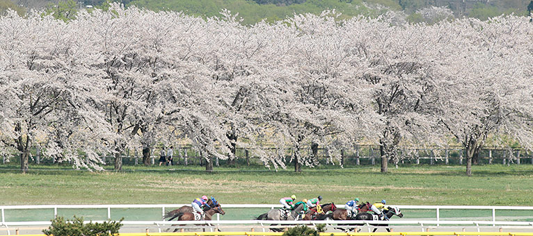 岩手県競馬組合のホームページから引用しました